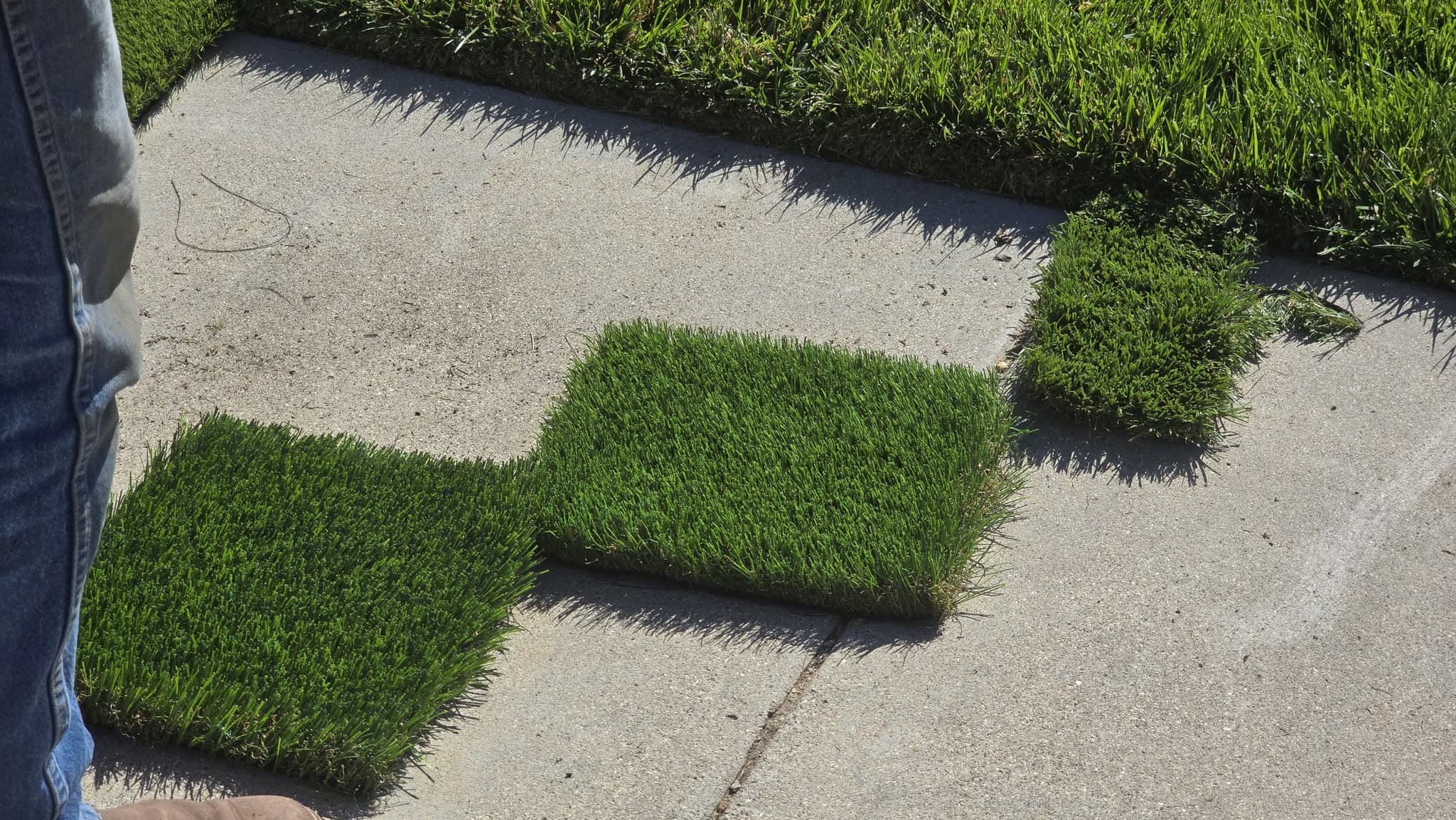 install fake grass around pool area