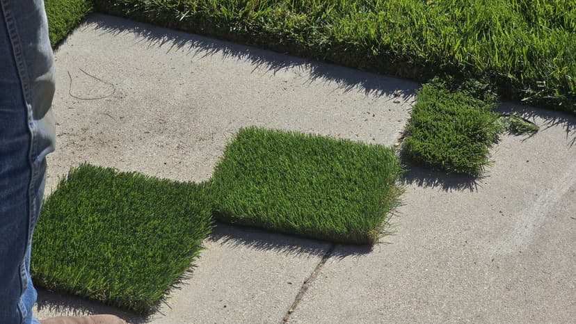 install fake grass around pool area