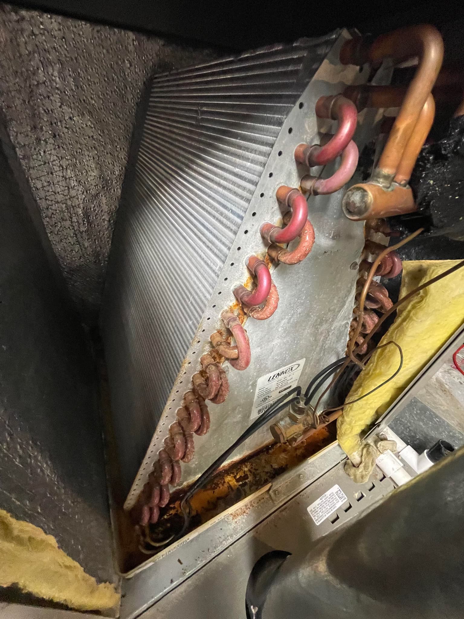 install a UV light filter