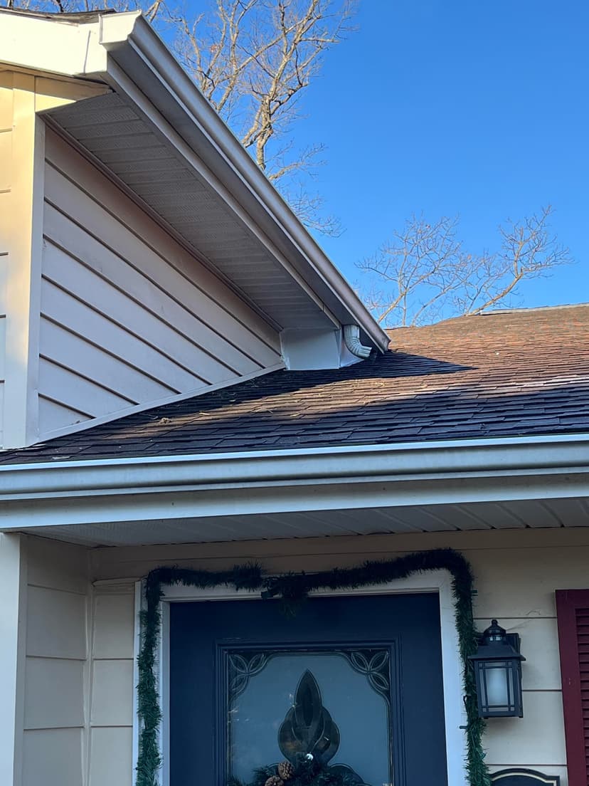 attic cleaning, insulation, and pest exclusion