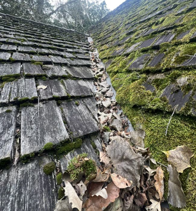replace existing cedar shake roof with new asphalt shingles