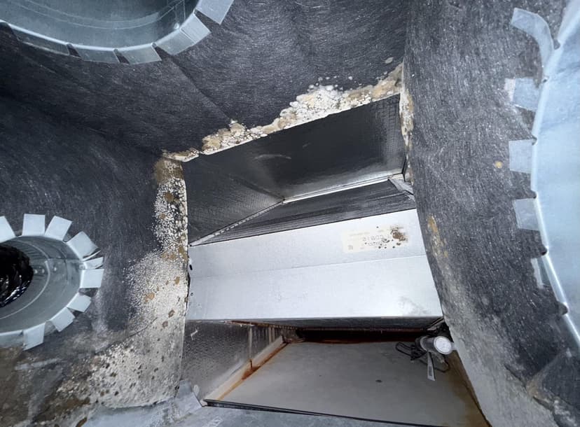clean evaporator coil, main box, and apply sanitation coating