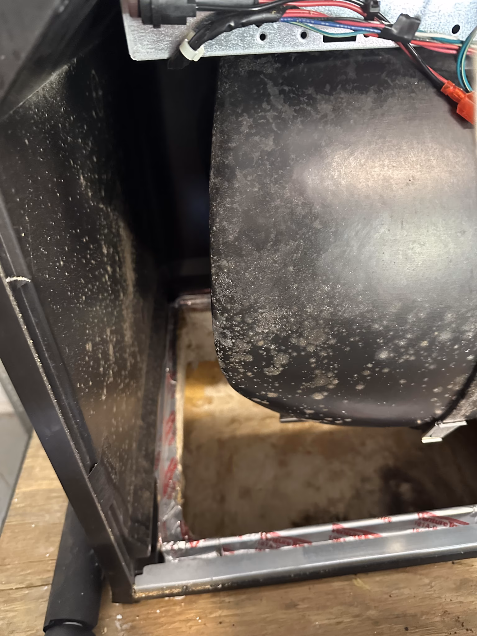 clean the blower motor