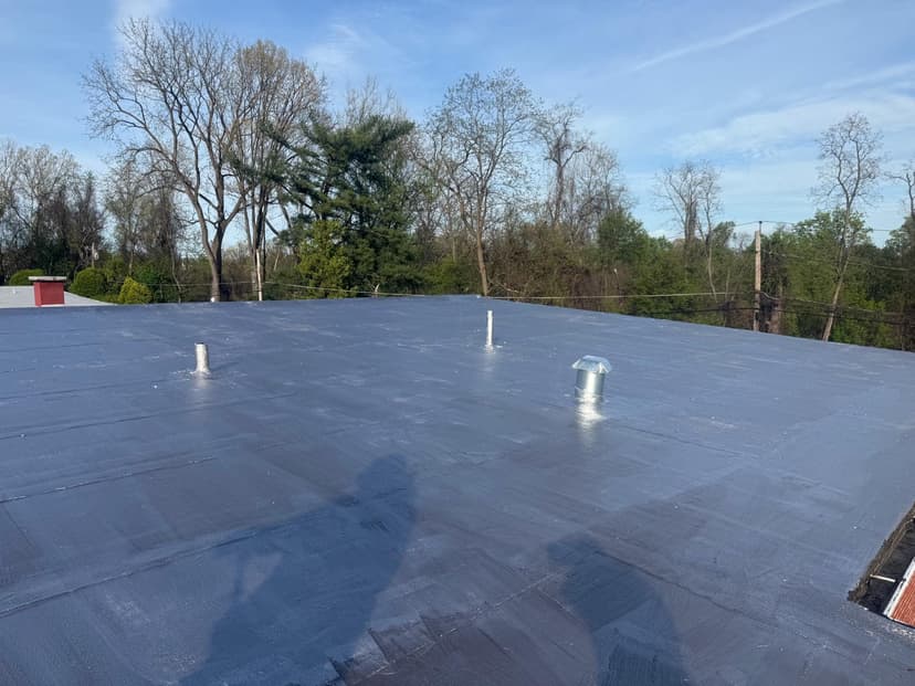 replace 55 sheets of plywood