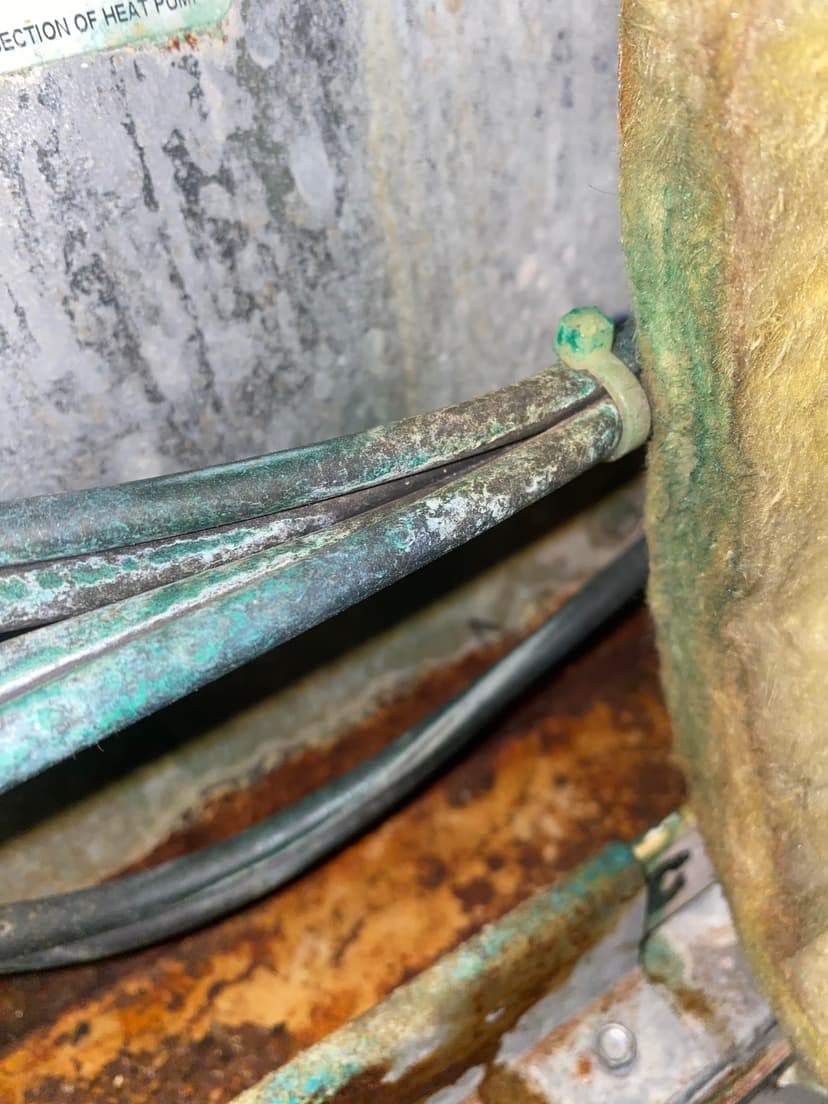 remove mold from duct vents