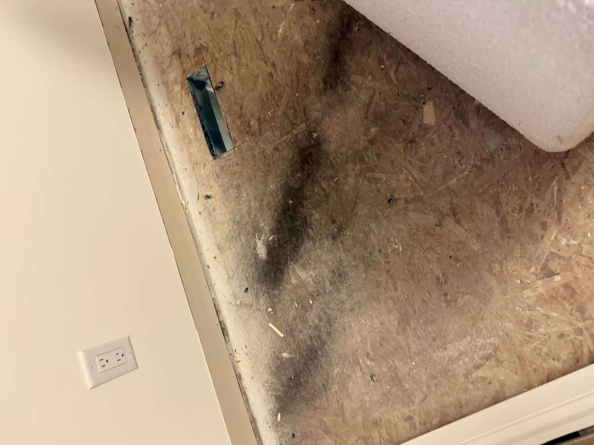 remediate mold and replace subfloor