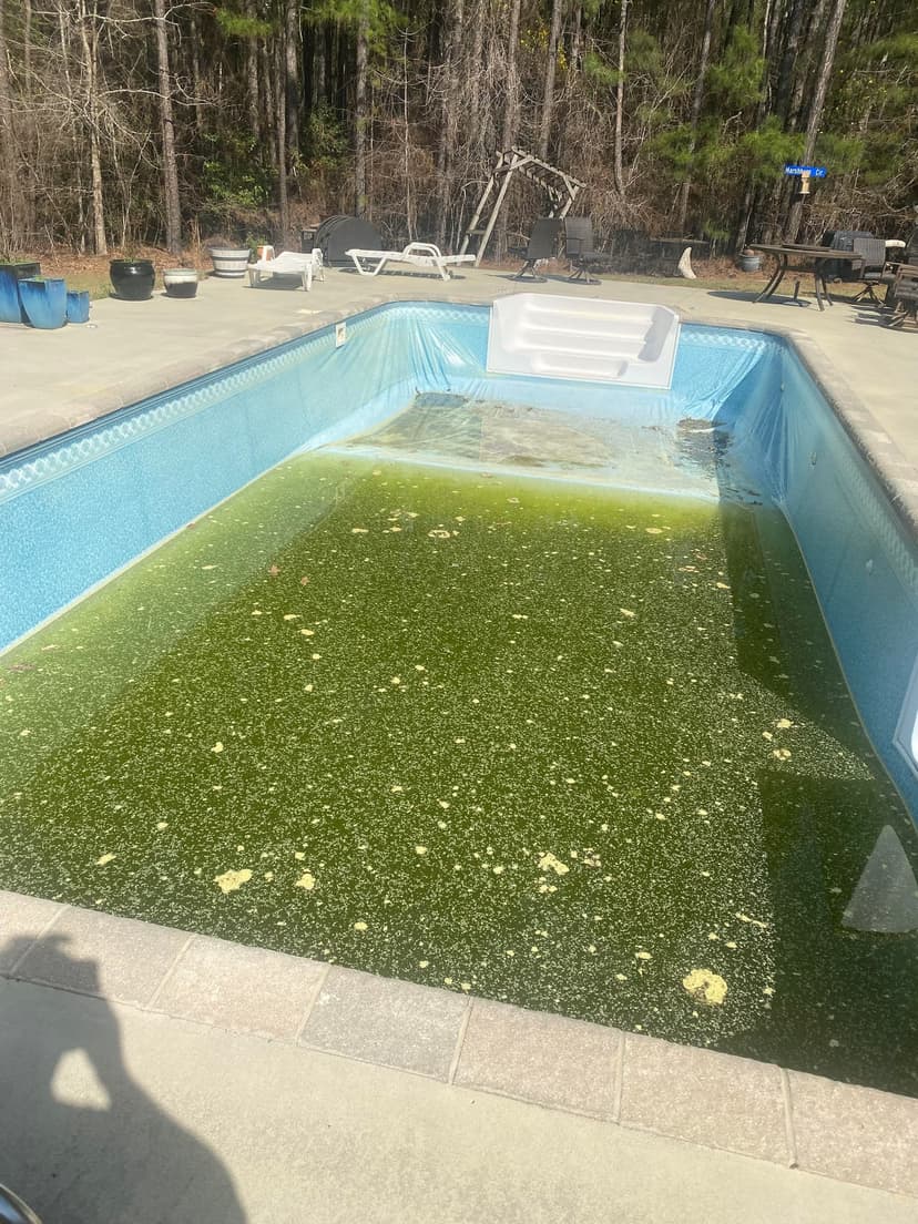 install a new pool liner for an 18x36 in-ground pool (lower range)