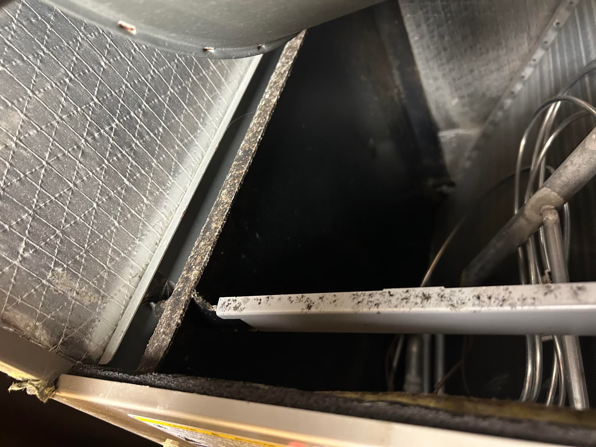 clean possible mold inside HVAC unit