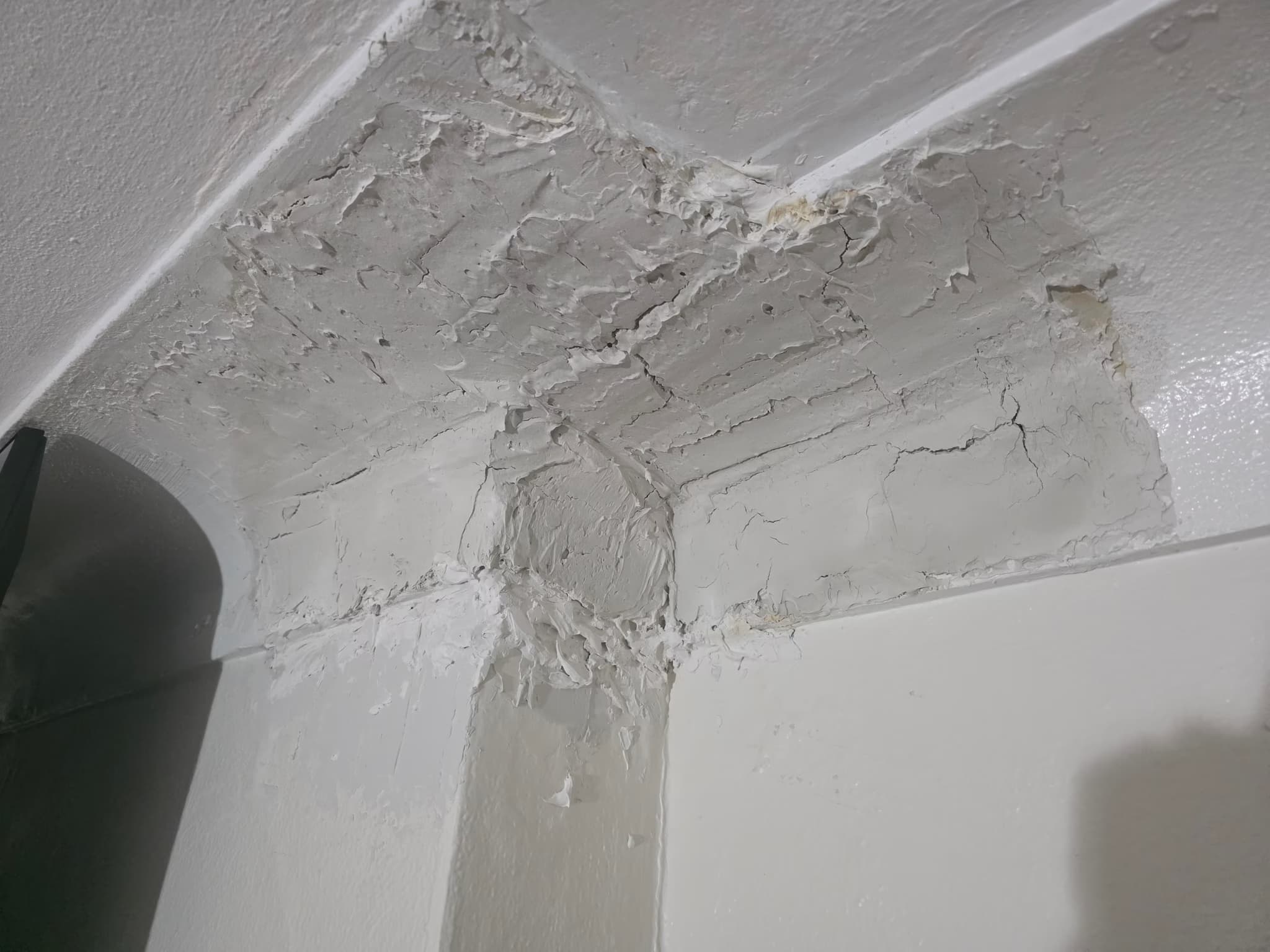 repair water-damaged drywall/plaster