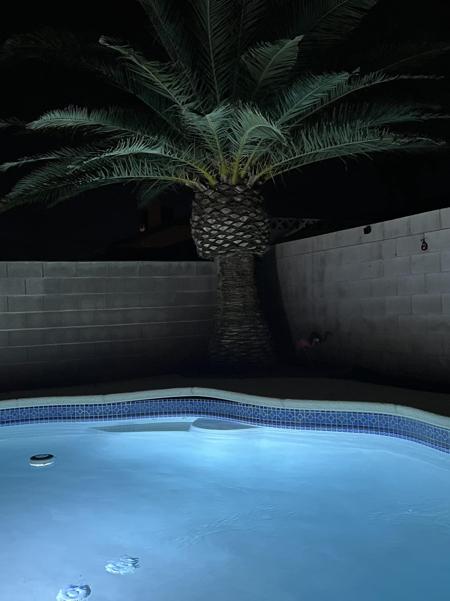 replace a pool light