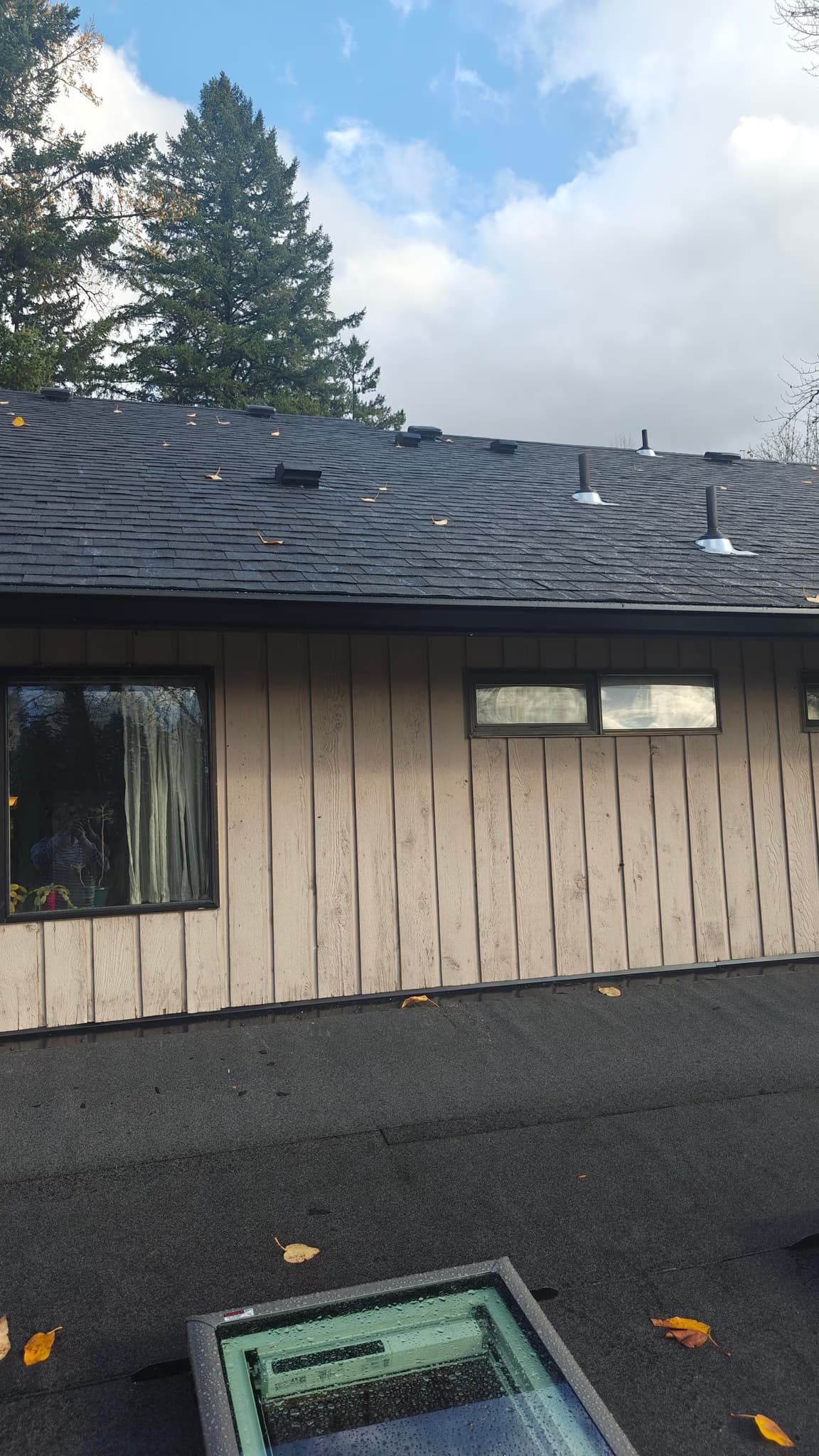 replace roof, gutters, and skylights