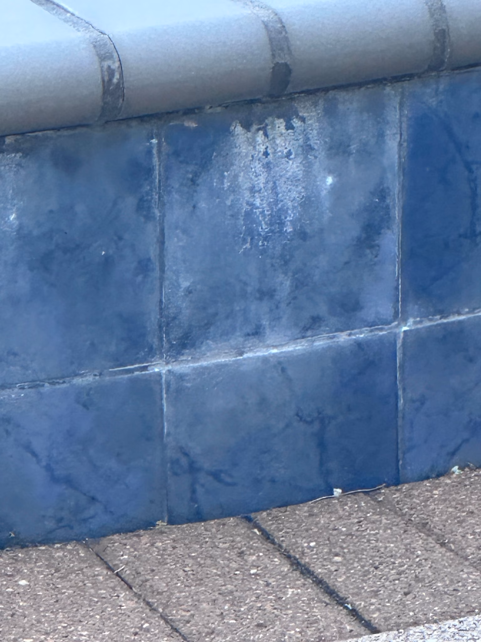 professionally clean pool tiles