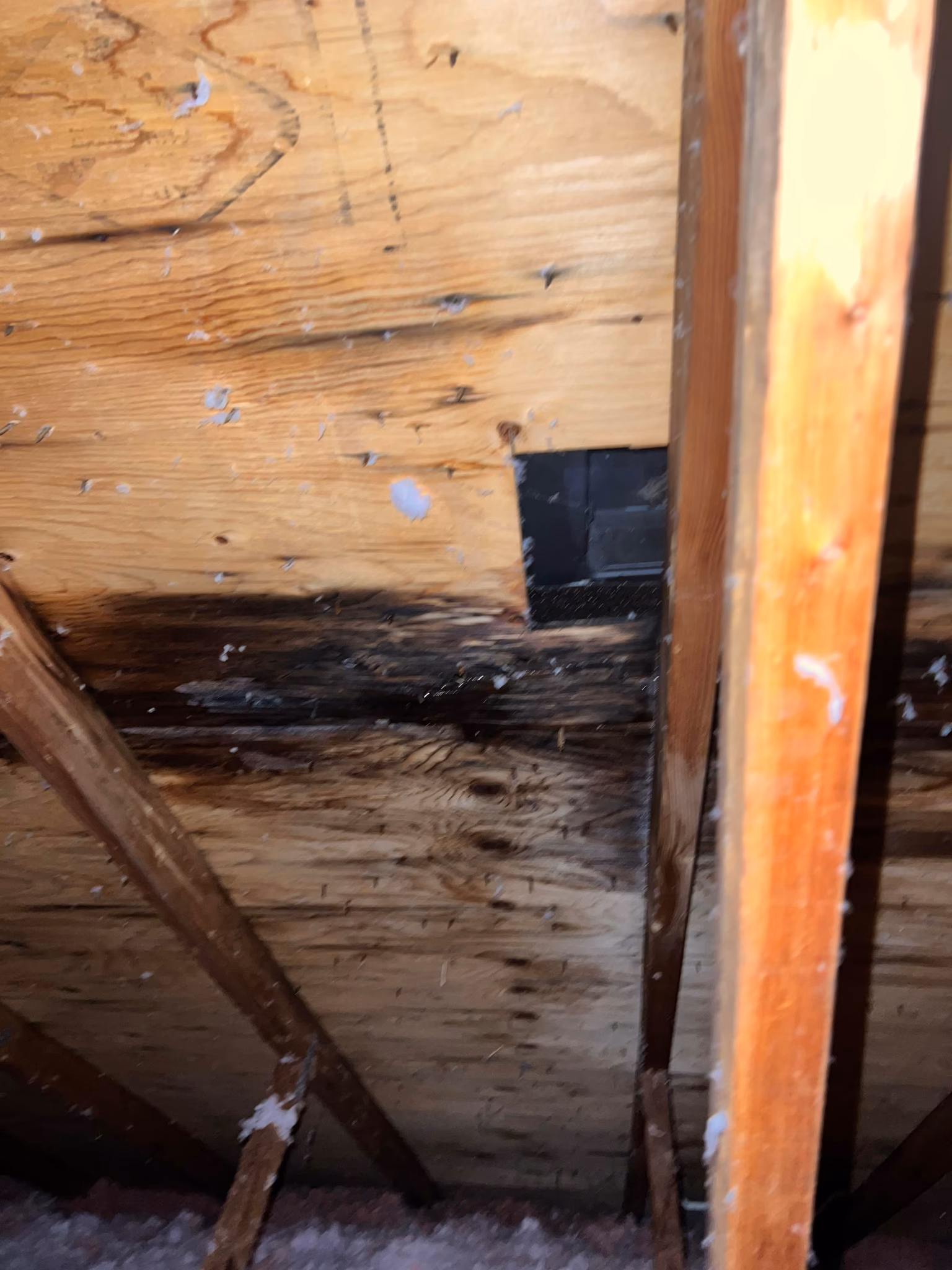 replace a small section of roof sheathing without removing solar panels