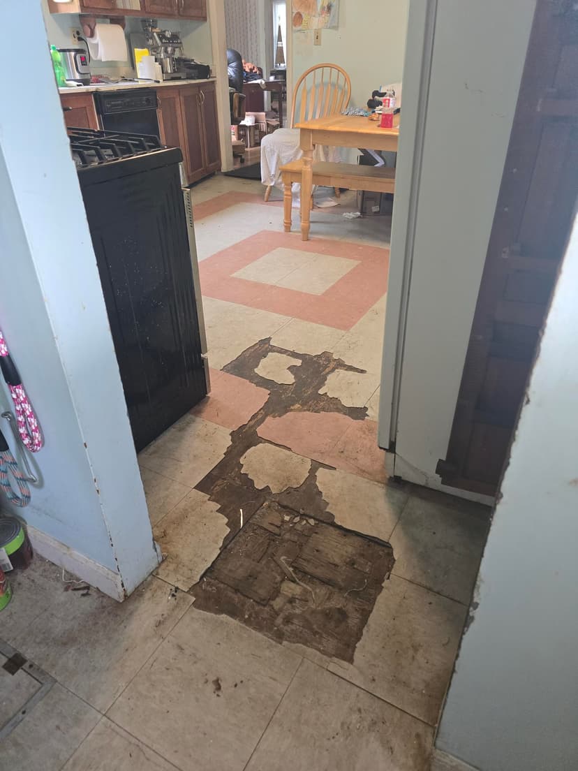 replace kitchen floor