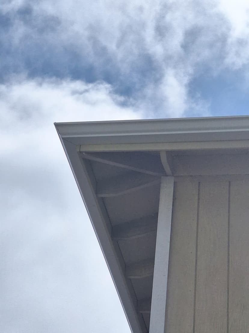 install new fascia boards and roof edges