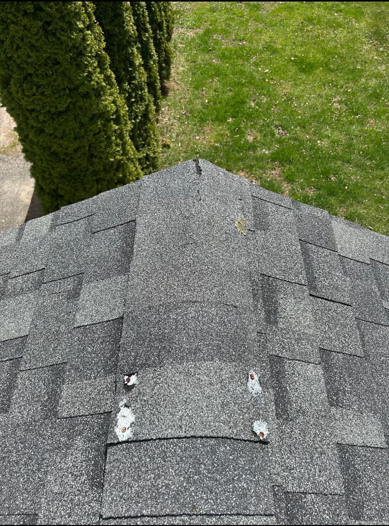 replace entire roof