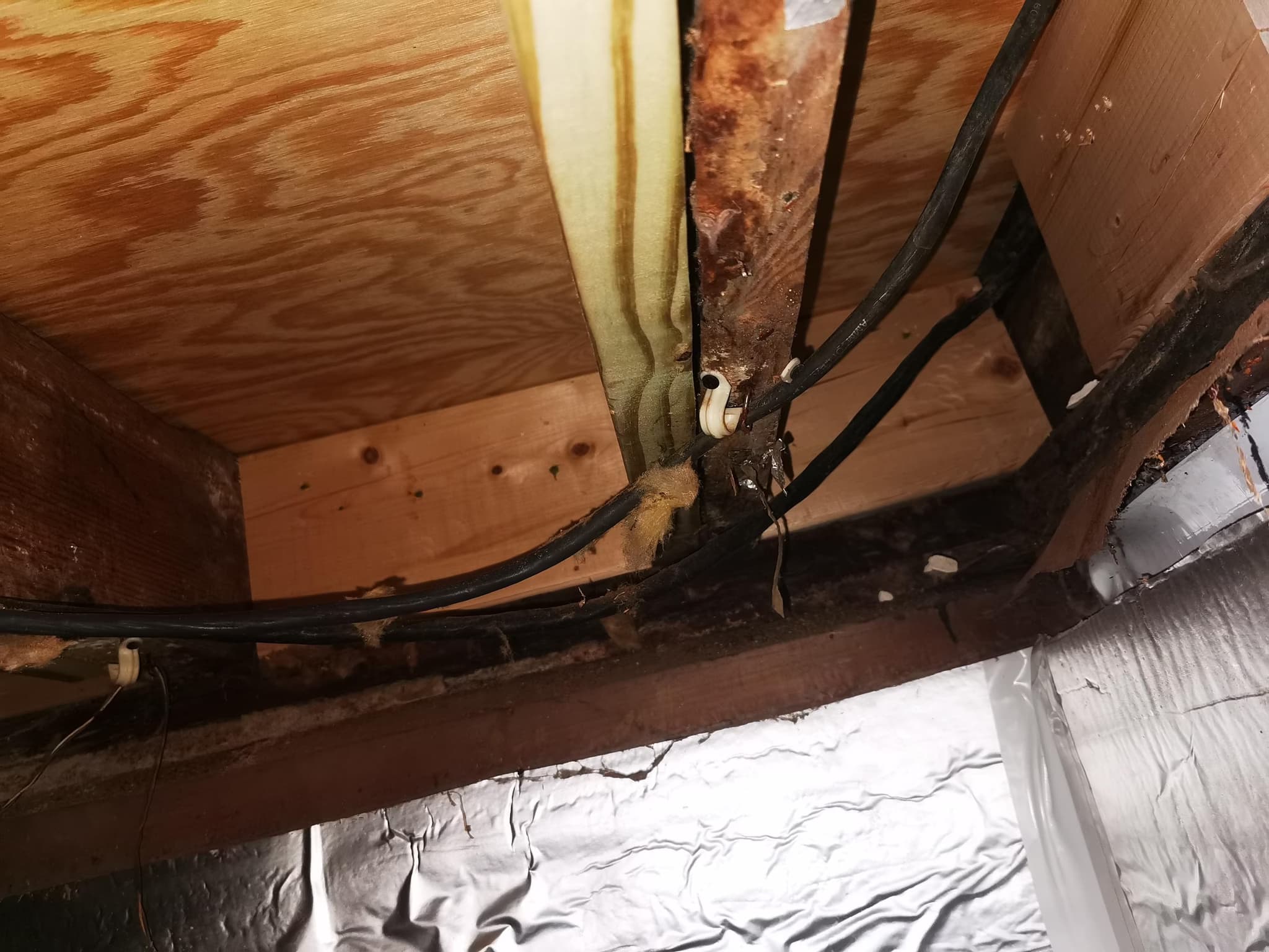 repair a crawlspace with water damage
