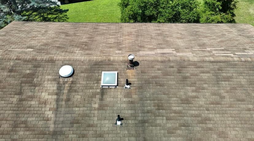 replace asphalt shingles and plywood on roof