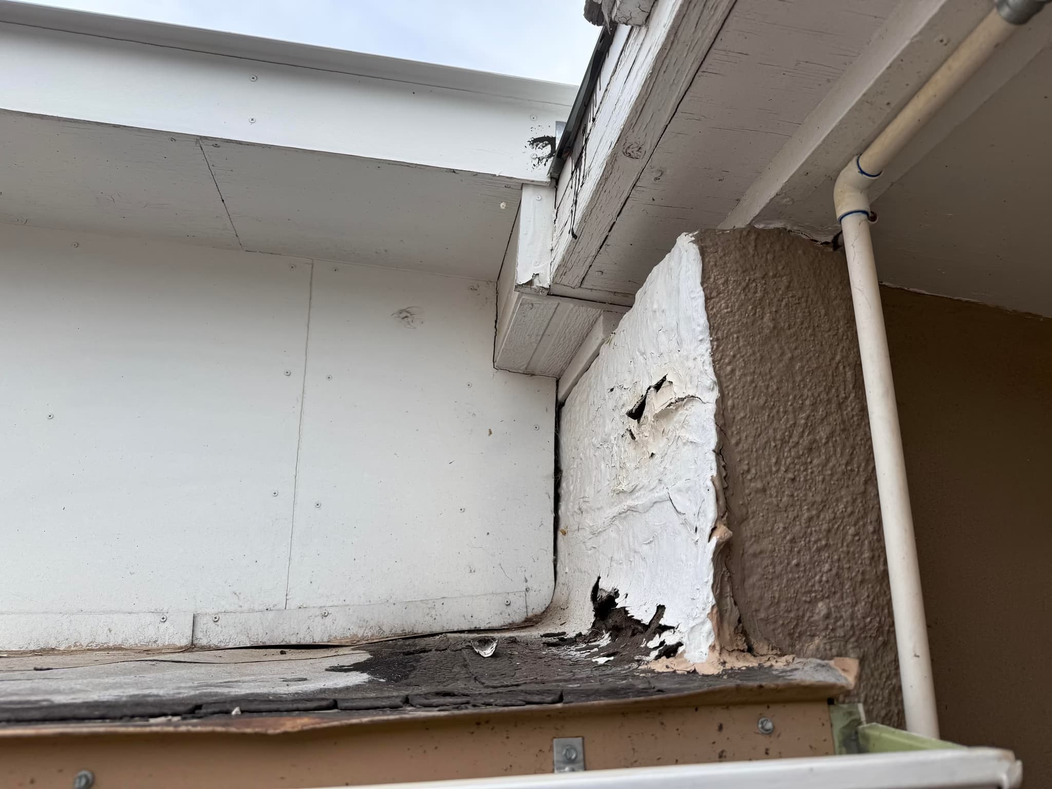 repair a small section of the roof