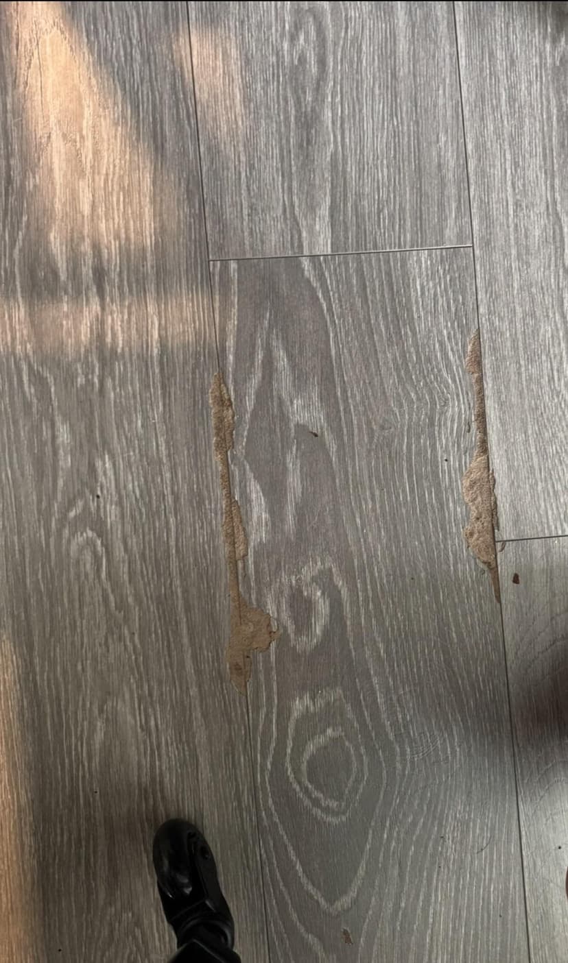 replace laminate floor in bedroom and bedroom closet