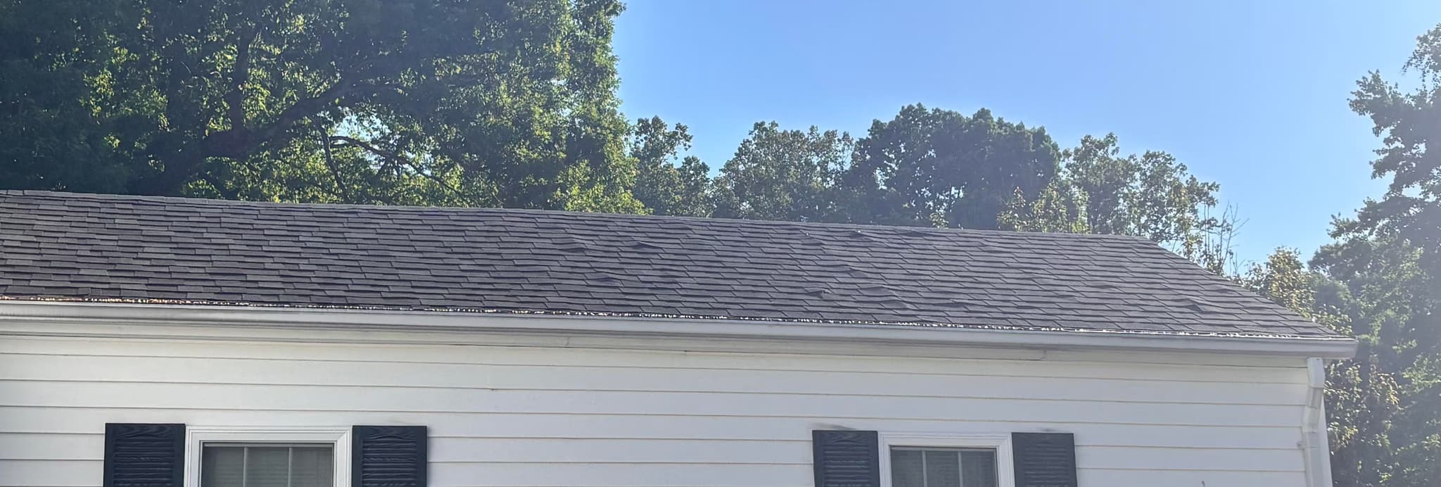 repair rear roof slope and replace rear fascia and gutters