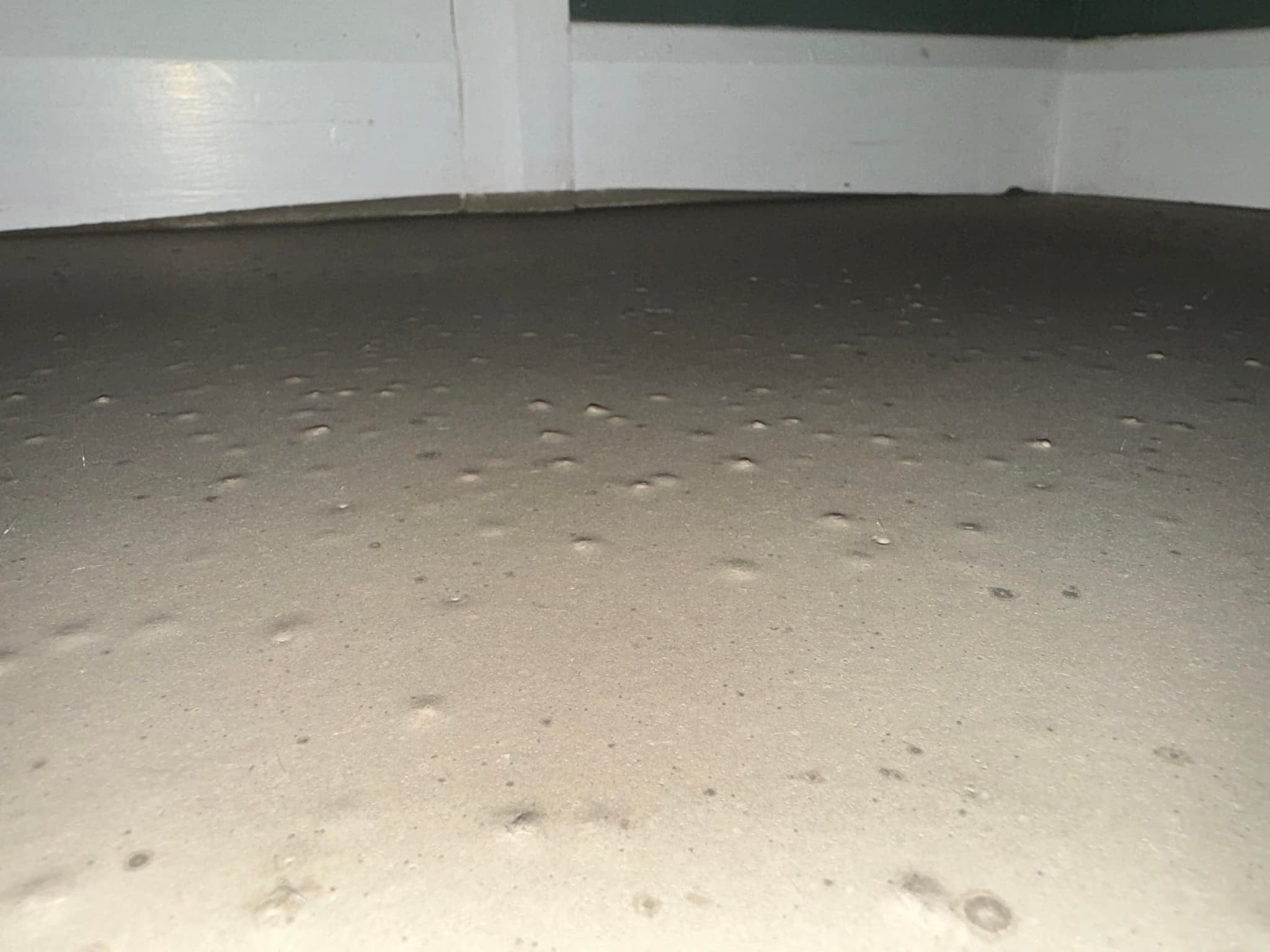 level and screed floors in hallway and kitchen