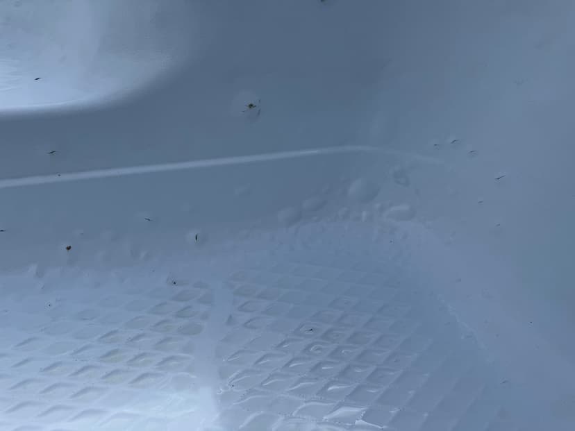 repair blistering and cracks and refinish pool steps