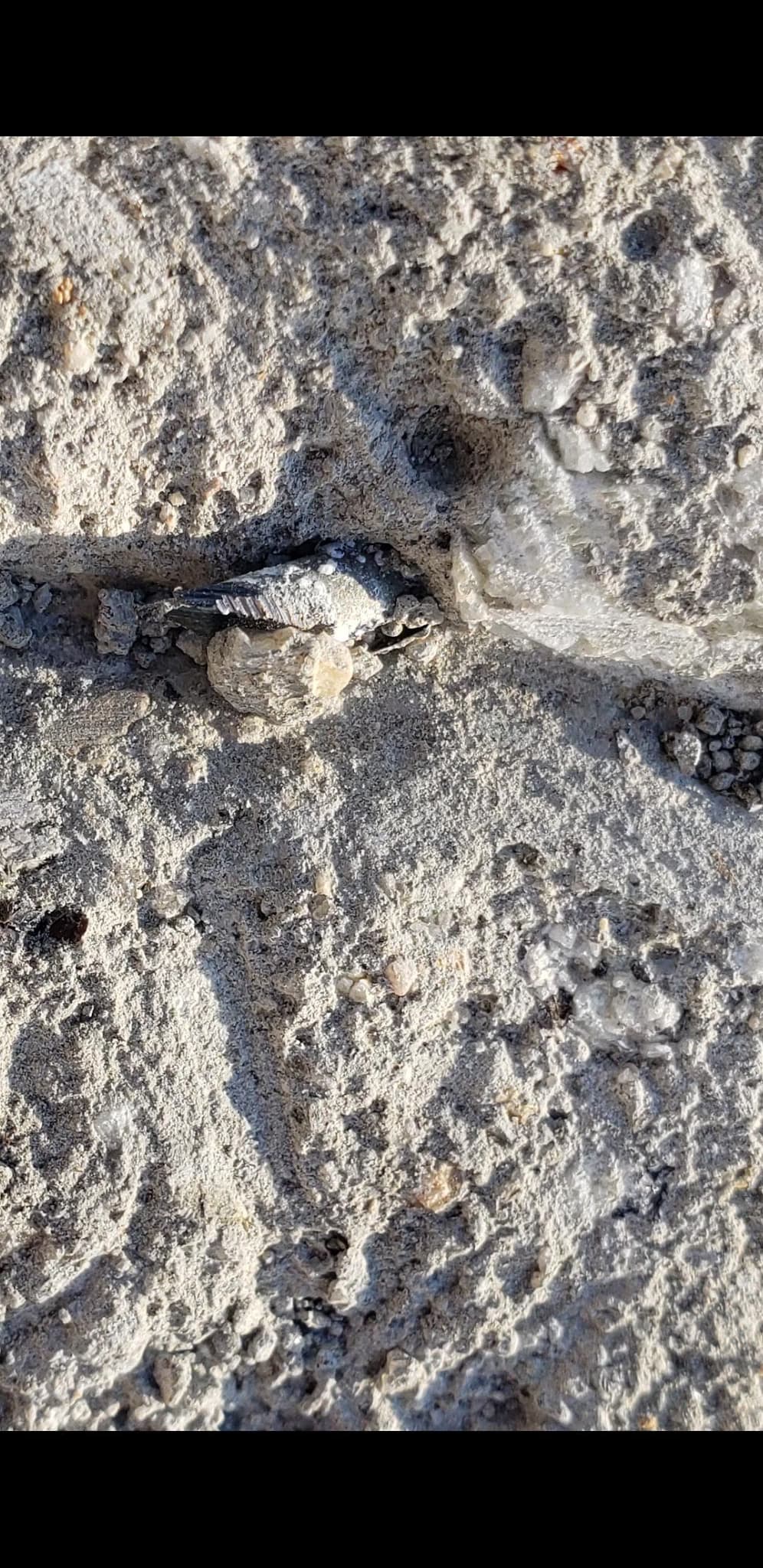 pour a 30x13 foot concrete slab patio