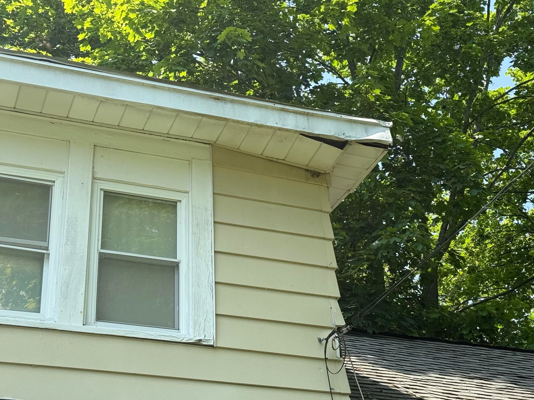 replace roof with new shingles and decking