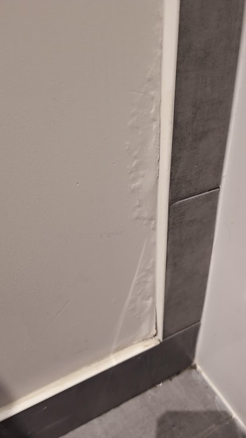 repair a wall damaged by water